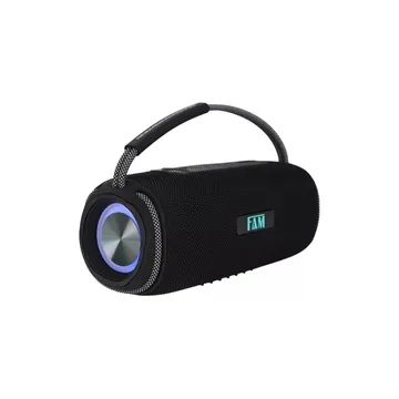 Caixa de Som Portátil com Rádio